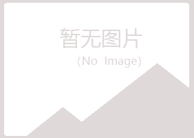 鹤壁埋没音乐有限公司